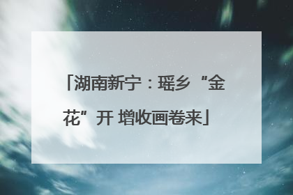 湖南新宁：瑶乡“金花”开 增收画卷来