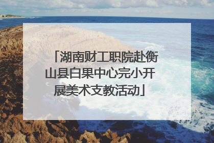 湖南财工职院赴衡山县白果中心完小开展美术支教活动