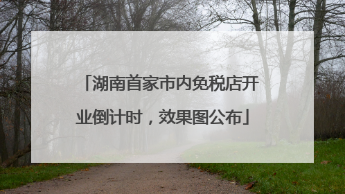 湖南首家市内免税店开业倒计时，效果图公布