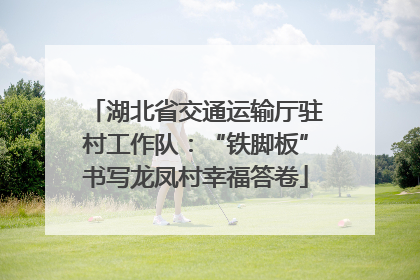 湖北省交通运输厅驻村工作队：“铁脚板”书写龙凤村幸福答卷