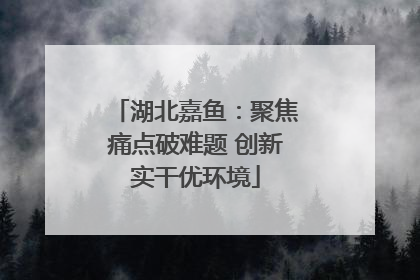 湖北嘉鱼：聚焦痛点破难题 创新实干优环境