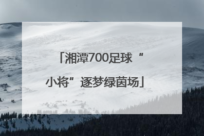 湘潭700足球“小将”逐梦绿茵场