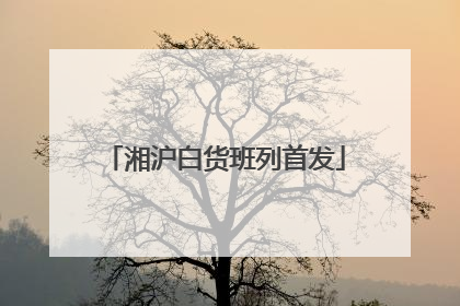湘沪白货班列首发