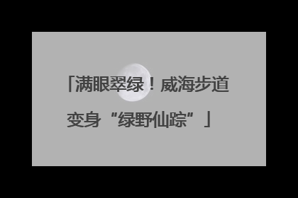 满眼翠绿！威海步道变身“绿野仙踪”