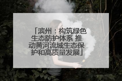 滨州：构筑绿色生态防护体系 推动黄河流域生态保护和高质量发展