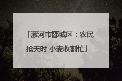 漯河市郾城区：农民抢天时 小麦收割忙