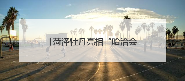 菏泽牡丹亮相“哈洽会”撬动国际合作新机遇