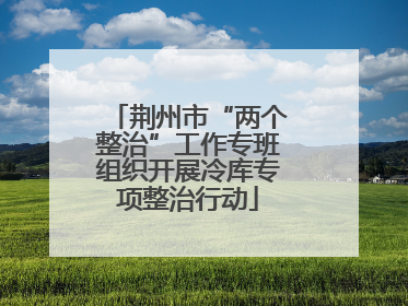 荆州市“两个整治”工作专班组织开展冷库专项整治行动