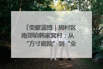 荣耀淄博｜周村区南郊镇韩家窝村：从“方寸庭院”到“全域文明”，乡村振兴的“美学革命”