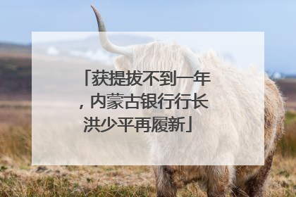 获提拔不到一年，内蒙古银行行长洪少平再履新