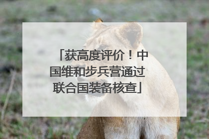 获高度评价！中国维和步兵营通过联合国装备核查
