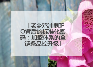 老乡鸡冲刺IPO背后的标准化密码：加盟体系的全链条品控升级