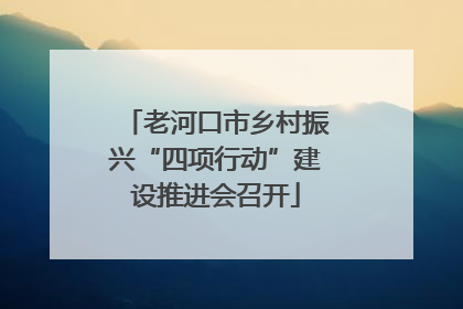 老河口市乡村振兴“四项行动”建设推进会召开