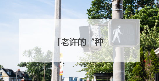 老许的“种子保卫战”