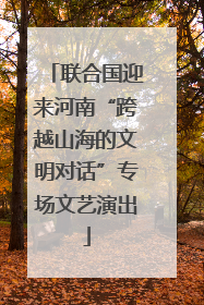 联合国迎来河南“跨越山海的文明对话”专场文艺演出