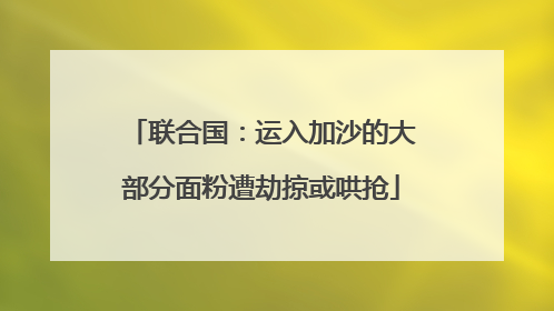 联合国:运入加沙的大部分面粉遭劫掠或哄抢