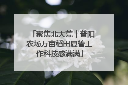 聚焦北大荒｜普阳农场万亩稻田夏管工作科技感满满