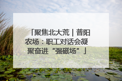 聚焦北大荒｜普阳农场：职工对话会凝聚奋进“强磁场”