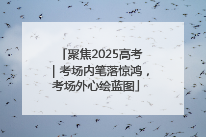 聚焦2025高考｜考场内笔落惊鸿，考场外心绘蓝图