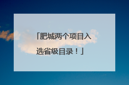 肥城两个项目入选省级目录！