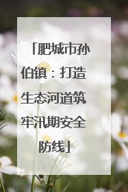 肥城市孙伯镇：打造生态河道筑牢汛期安全防线