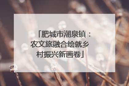 肥城市潮泉镇：农文旅融合绘就乡村振兴新画卷