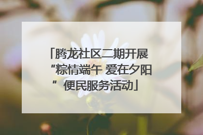 腾龙社区二期开展 “粽情端午 爱在夕阳”便民服务活动