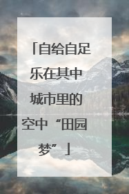 自给自足 乐在其中 城市里的空中“田园梦”