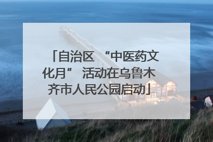 自治区 “中医药文化月” 活动在乌鲁木齐市人民公园启动