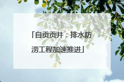 自贡贡井：排水防涝工程加速推进