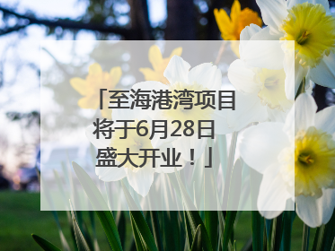 至海港湾项目将于6月28日盛大开业！