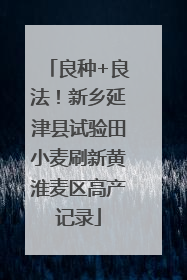 良种+良法！新乡延津县试验田小麦刷新黄淮麦区高产记录