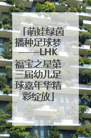 萌娃绿茵播种足球梦——LHK福宝之星第三届幼儿足球嘉年华精彩绽放