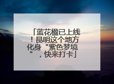 蓝花楹已上线！昆明这个地方化身“紫色梦境”，快来打卡