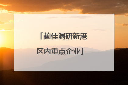 蔺佳调研新港区内重点企业