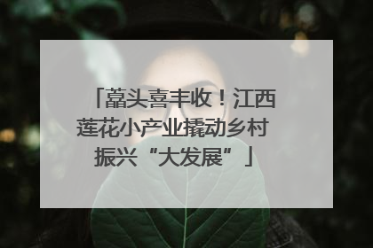藠头喜丰收！江西莲花小产业撬动乡村振兴“大发展”
