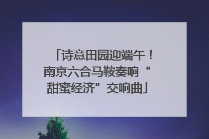 诗意田园迎端午！南京六合马鞍奏响“甜蜜经济”交响曲
