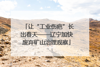 让“工业伤疤”长出春天——辽宁加快废弃矿山治理观察