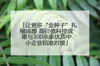 让更多“金种子”扎根成都 高价值科技成果与300余家优质中小企业精准对接