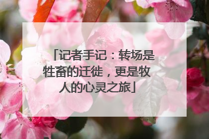 记者手记：转场是牲畜的迁徙，更是牧人的心灵之旅