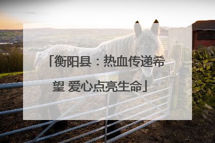 衡阳县：热血传递希望 爱心点亮生命