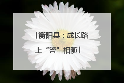 衡阳县：成长路上“警”相随