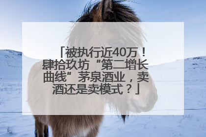 被执行近40万！肆拾玖坊“第二增长曲线”茅泉酒业，卖酒还是卖模式？