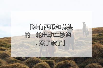 装有西瓜和蒜头的三轮电动车被盗，案子破了