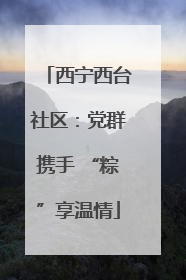 西宁西台社区：党群携手 “粽”享温情