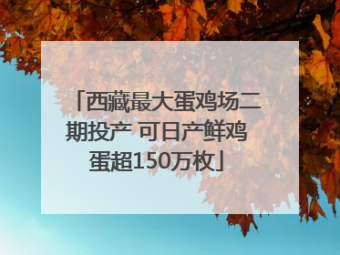 西藏最大蛋鸡场二期投产 可日产鲜鸡蛋超150万枚