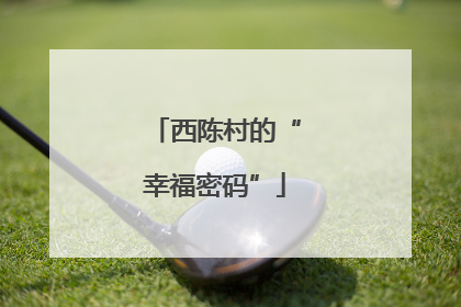 西陈村的“幸福密码”