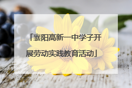 襄阳高新一中学子开展劳动实践教育活动