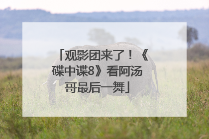 观影团来了！《碟中谍8》看阿汤哥最后一舞