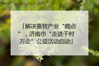 解决畜牧产业“痛点”，济南市“走进千村万企”公益活动启动